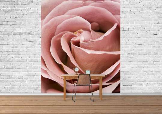 Фотообои - Бутон розовой розы