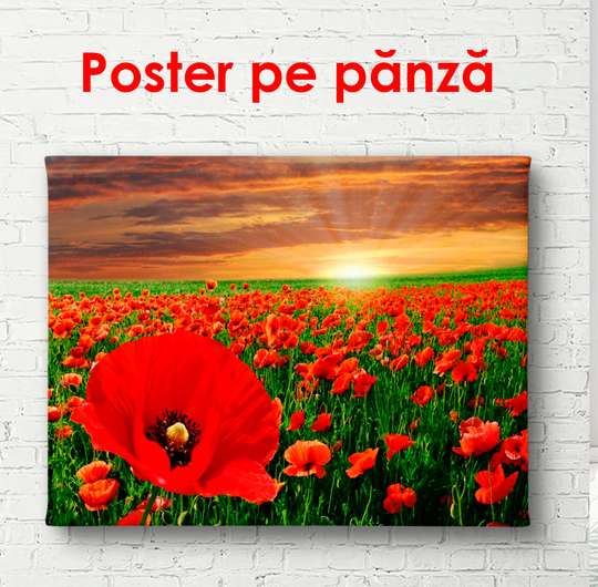 Poster - Abstract beige flowers, 90 x 60 см, Framed poster