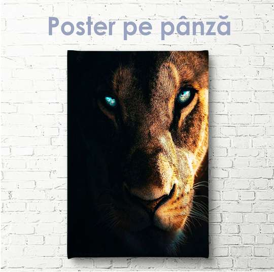 Постер, Львица с голубыми глазами, 30 x 45 см, Холст на подрамнике, Животные