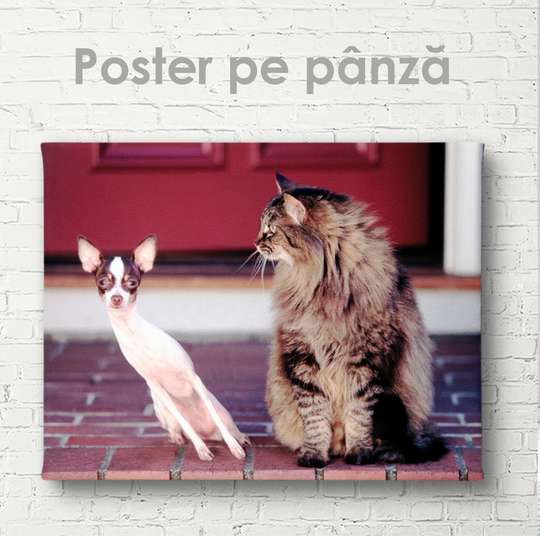Poster, cat and dog, 45 x 30 см, Canvas on frame, Animals