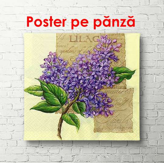 Poster - Twig of lilac on a yellow background, 100 x 100 см, Framed poster