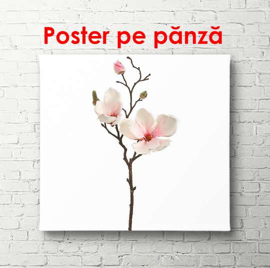 Poster - Twig with pink flowers, 100 x 100 см, Framed poster