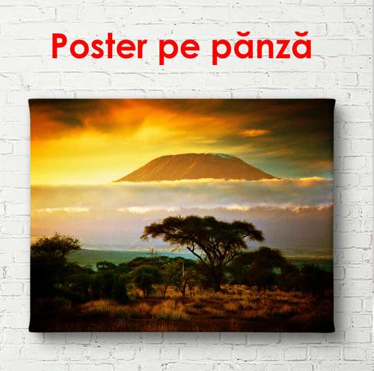 Постер - Парк на закате, 90 x 60 см, Постер в раме