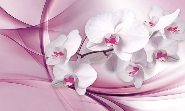 Modular picture, Orchid on a burgundy background., 106 x 60