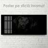 Poster, Affectionate look, 60 x 30 см, Canvas on frame, Animals