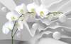 3D Wallpaper - White orchid on a white 3D background.