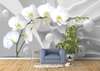 3D Wallpaper - White orchid on a white 3D background.