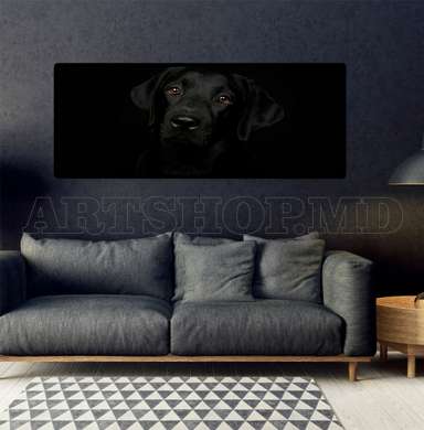 Poster, Affectionate look, 60 x 30 см, Canvas on frame, Animals