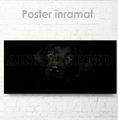 Poster, Affectionate look, 60 x 30 см, Canvas on frame, Animals