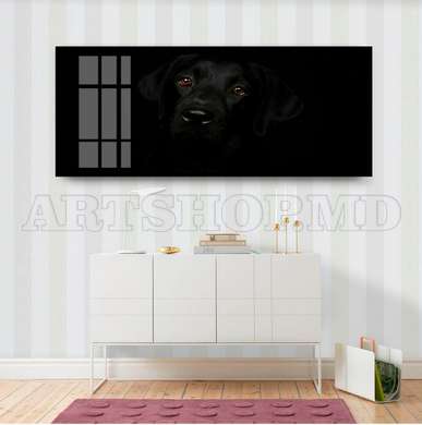 Poster, Affectionate look, 60 x 30 см, Canvas on frame, Animals