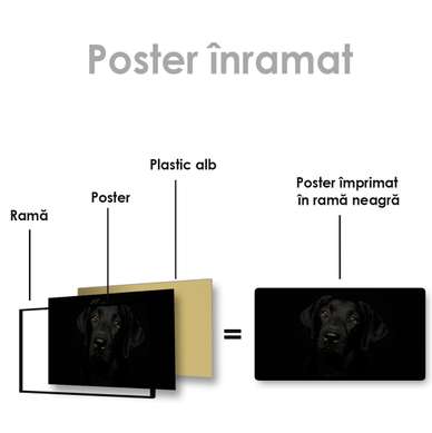 Poster, Privire blândă, 60 x 30 см, Panza pe cadru, Animale