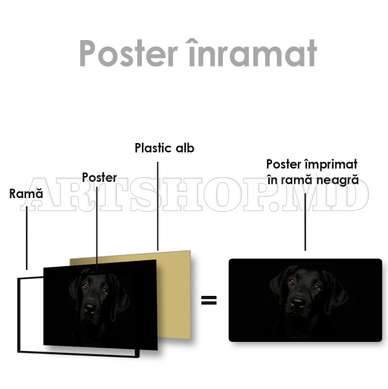 Poster, Affectionate look, 60 x 30 см, Canvas on frame, Animals