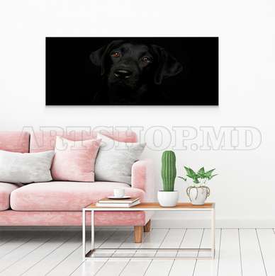 Poster, Affectionate look, 60 x 30 см, Canvas on frame, Animals