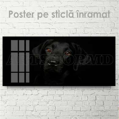 Poster, Affectionate look, 60 x 30 см, Canvas on frame, Animals