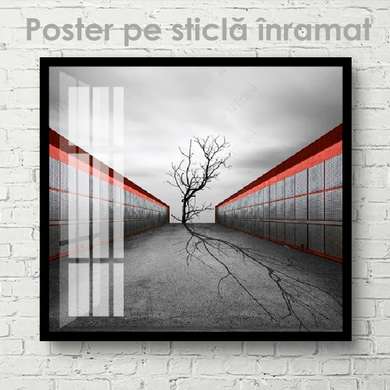 Poster - Vârful unui copac gol, 100 x 100 см, Poster inramat pe sticla