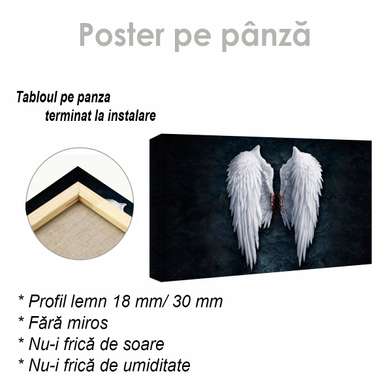 Постер - Крылья ангела, 90 x 45 см, Постер на Стекле в раме, Черно Белые