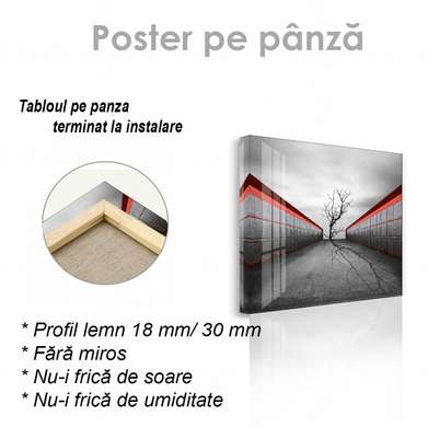Poster - Vârful unui copac gol, 100 x 100 см, Poster inramat pe sticla