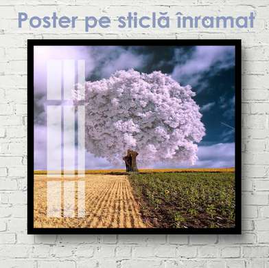 Poster - Arborele mov în câmpul de grâu, 40 x 40 см, Panza pe cadru, Natură