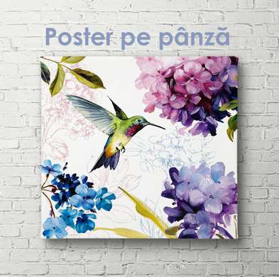 Poster - Colibri printre flori, 40 x 40 см, Panza pe cadru, Botanică
