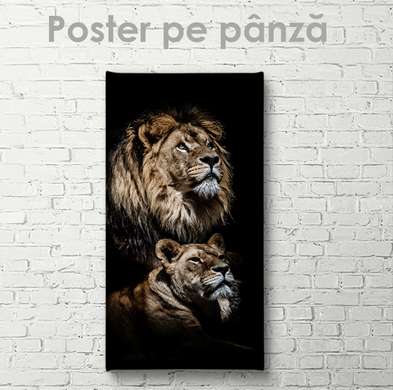 Постер, Лев, 45 x 90 см, Постер на Стекле в раме