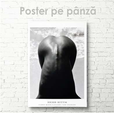 Poster - Woman's back, 30 x 45 см, Canvas on frame, Nude