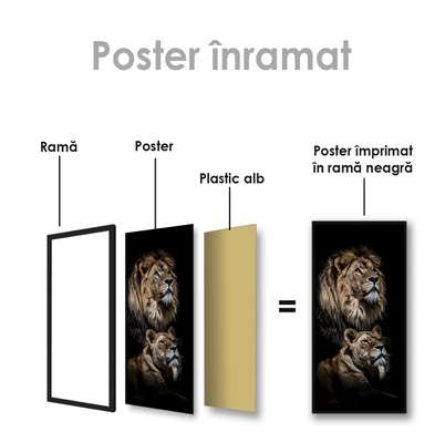 Poster, Leo, 45 x 90 см, Framed poster on glass