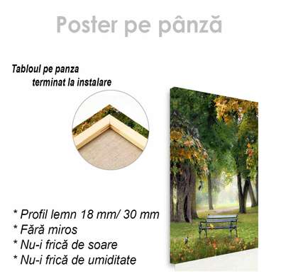 Постер - Лавочка в парке, 60 x 90 см, Постер на Стекле в раме, Природа