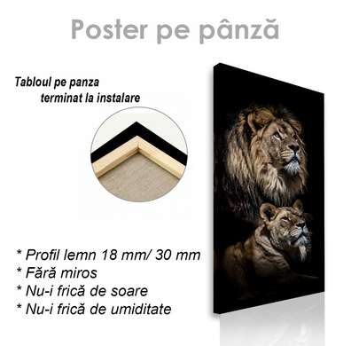 Poster, Leo, 45 x 90 см, Framed poster on glass