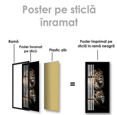 Poster, Leu, 45 x 90 см, Poster inramat pe sticla