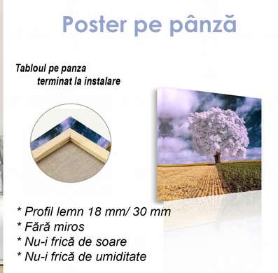 Poster - Purple tree in a wheat field, 40 x 40 см, Canvas on frame