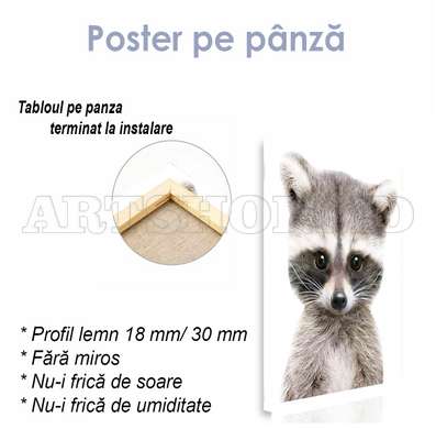 Poster, Raton drăguț, 30 x 60 см, Panza pe cadru, Animale