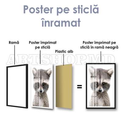Poster, Raton drăguț, 30 x 60 см, Panza pe cadru, Animale