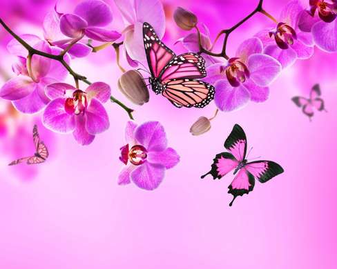 Tablou Pe Panza Multicanvas, Orhidee roz cu fluturi, 198 x 115