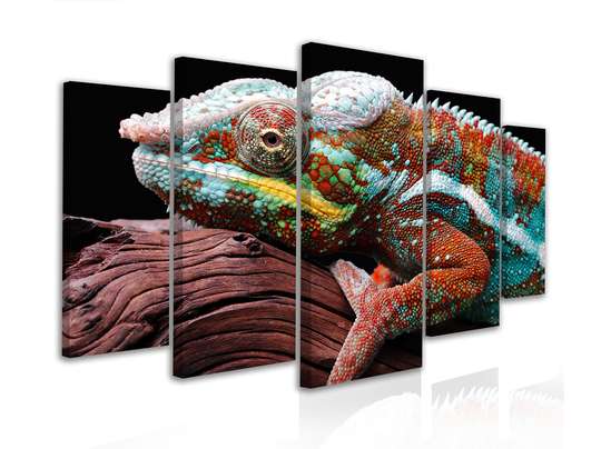Tablou Multicanvas, Hameleonul multicolor, 108 х 60