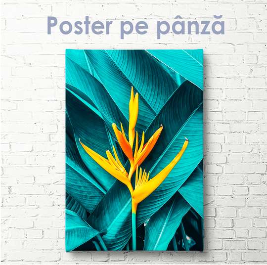 Poster - Exotic yellow flower, 30 x 60 см, Canvas on frame
