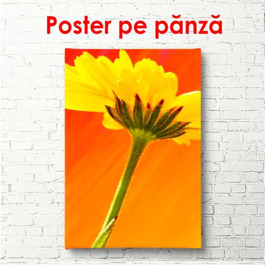 Poster - Pink flower with butterfly, 45 x 90 см, Framed poster