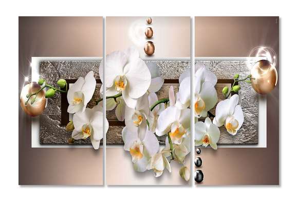 Модульная картина, Орхидея на коричневом фоне., 70 x 50