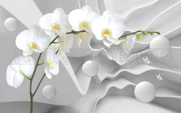 3D Wallpaper - White orchid on a white 3D background.