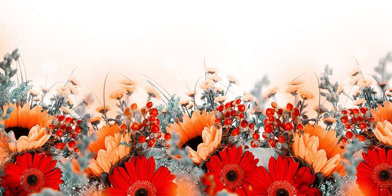 Wall Mural - Red flowers on a white background