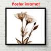 Постер - Коричневые цветы на белом фоне, 100 x 100 см, Постер в раме, Прованс