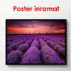 Poster - Lavender field against the backdrop of a beautiful sunset, 90 x 60 см, Framed poster, Nature