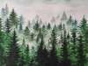 Wall mural - The fir forest