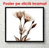 Poster - Flori maro pe un fundal alb, 100 x 100 см, Poster înrămat, Provence