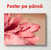 Poster - Floarea roz, 90 x 60 см, Poster înrămat, Flori