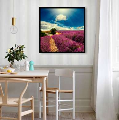 Poster - Lavender field, 100 x 100 см, Framed poster on glass, Nature