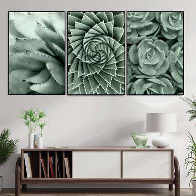 Poster - Green plants, 40 x 60 см, Framed poster on glass