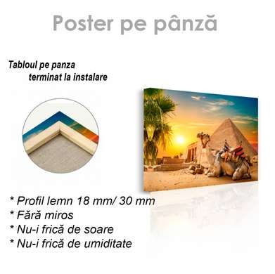 Постер - Египет- Пирамида- Верблюд и закат, 90 x 60 см, Постер на Стекле в раме, Города и Карты