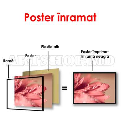 Постер - Розовый цветок, 90 x 60 см, Постер в раме, Цветы