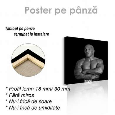 Poster - Mike Tyson, 40 x 40 см, Canvas on frame