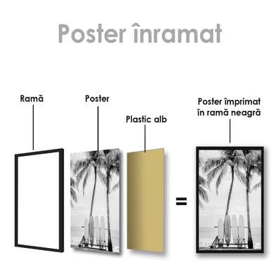 Постер - Серф доски, 60 x 90 см, Постер на Стекле в раме, Черно Белые